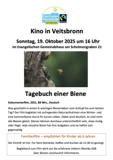 Flyer Film